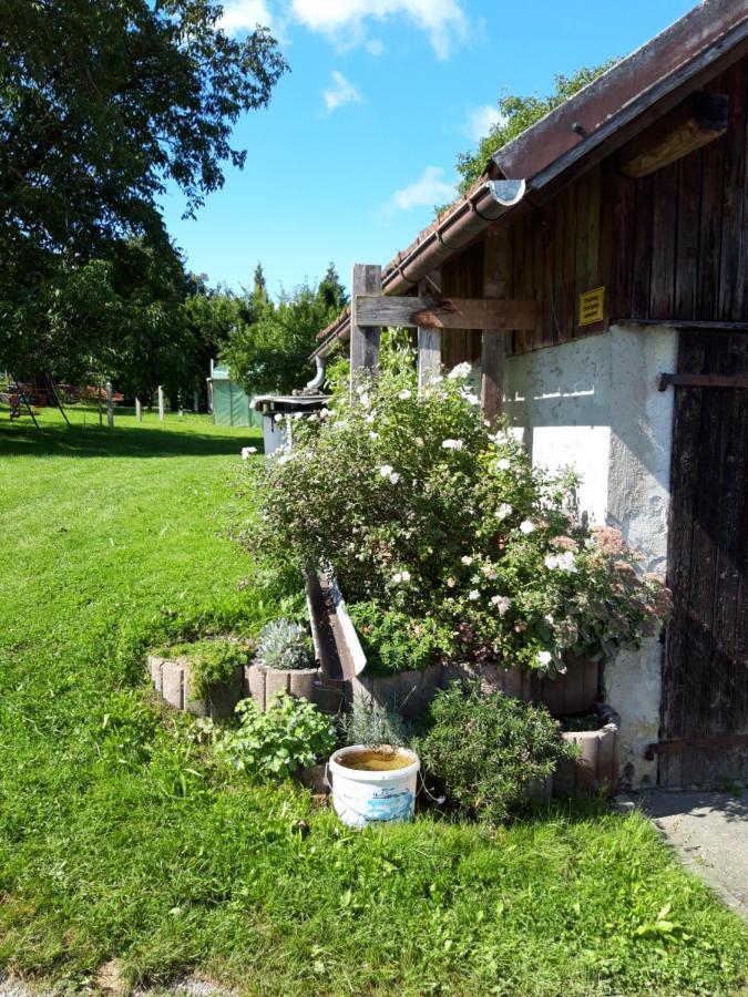 Ferienwohnung Im Seidlerhof Mit Balkon Und Garten Рернбах Екстер'єр фото