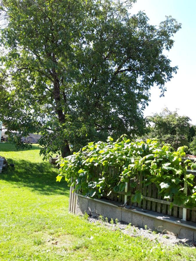 Ferienwohnung Im Seidlerhof Mit Balkon Und Garten Рернбах Екстер'єр фото