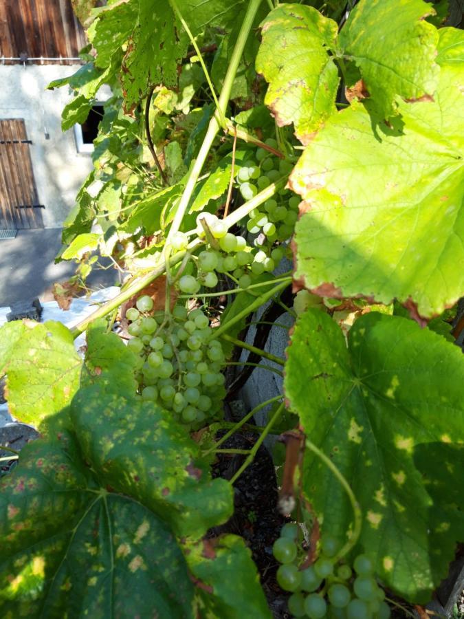Ferienwohnung Im Seidlerhof Mit Balkon Und Garten Рернбах Екстер'єр фото