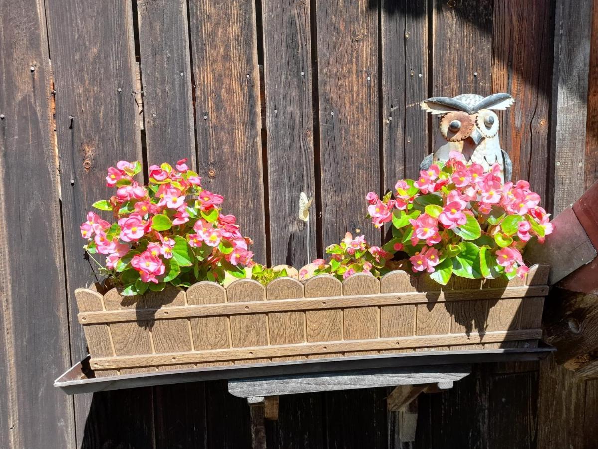 Ferienwohnung Im Seidlerhof Mit Balkon Und Garten Рернбах Екстер'єр фото
